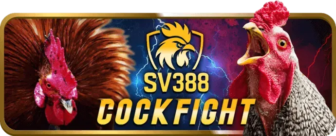 Bí quyết chơi slot game để dễ dàng trúng jackpot tại mwc77 app